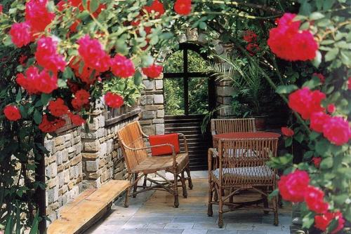 Pension Ingrid - image 10