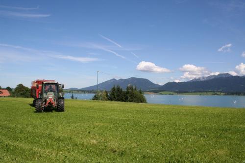 Salenberghof Ferienwohnung Traumblick