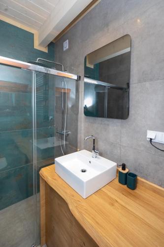 Badkamer, Houten Vakantiewoning "ReisnaarPolen" royaal ontbijt, sauna en Hottub in Dursztyn