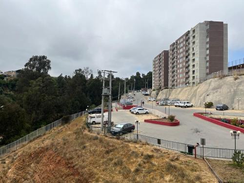 Lomas de viña del mar