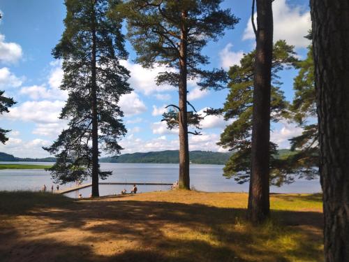 strand, Sölebo Bodar (Solebo Bodar) in Boras City Center