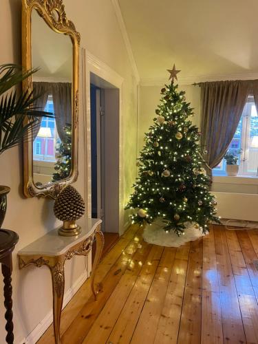 Finnegården Røros (Finnegarden Røros) in โรโรส