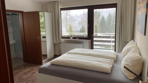 Pension Harzkieker - Apartment - Altenau