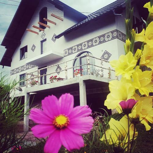 Casa Aureliana