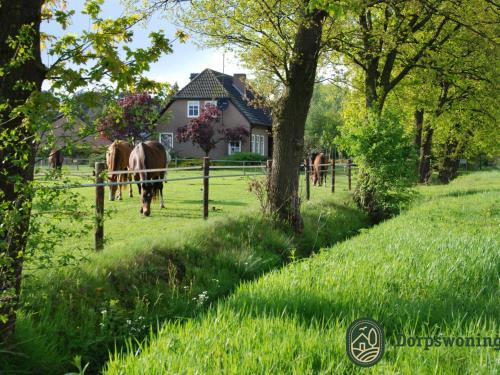 Authentic Holiday Home in North Brabant by the Forest