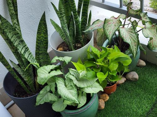 NORDIC SKYHOME Ipoh NORDIC SKYHOME Ipoh