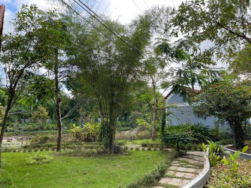 SON HOME GARDEN - 전망
