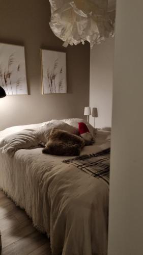 Arctic Star with sauna