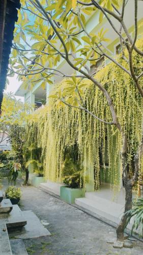 PURNAMA HOUSE KUTA 1