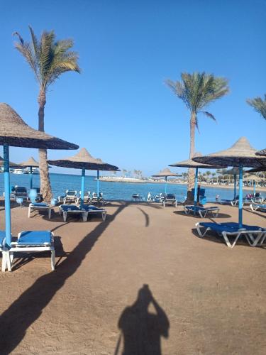 A two-room chalet in Lale Land, on the sea