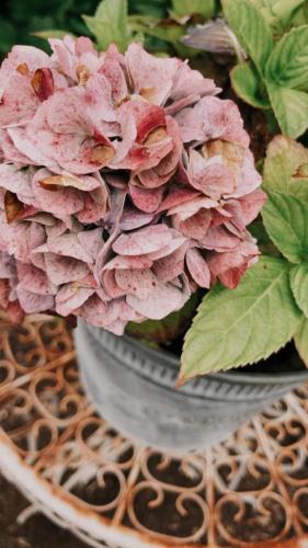 Ferienwohnung Frieda, Merzig Ferienwohnung Frieda, Merzig