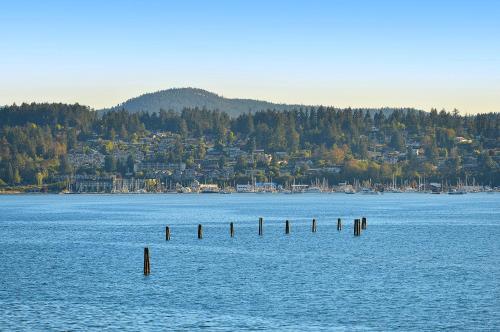 Salishan Tree House Suite