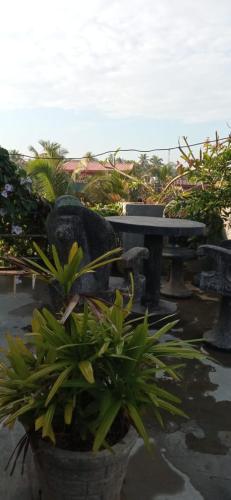 Mandara Rest photo