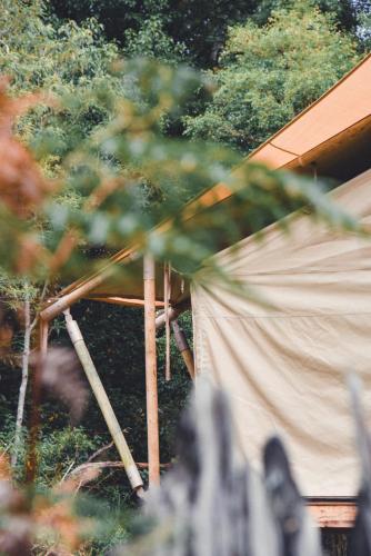 Silk Pavilions in Mount Burrell