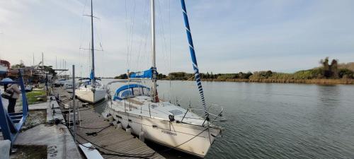 Il maestro di nodi SAIL BOAT