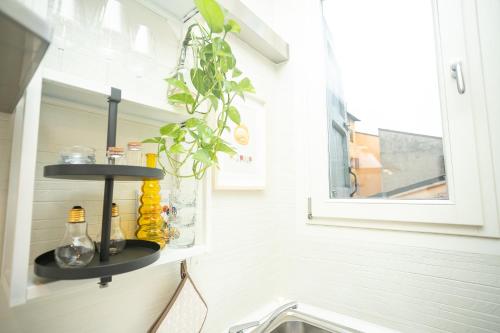 One-Bedroom Apartment image 7