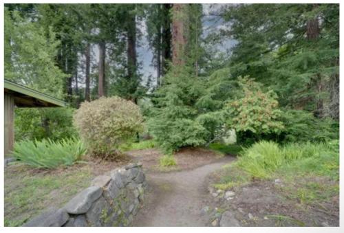 Redwood home on the Majestic Eel River (Pet friendly)