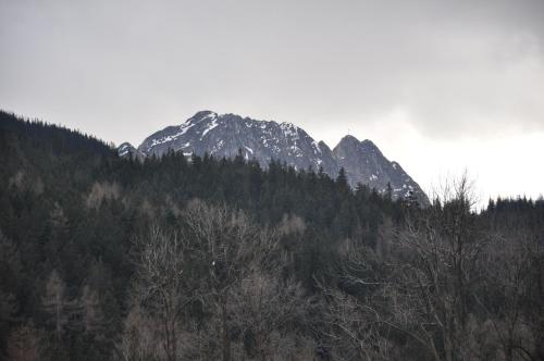 Willa Bystry, Pod Nosalem Willa Bystry, Pod Nosalem