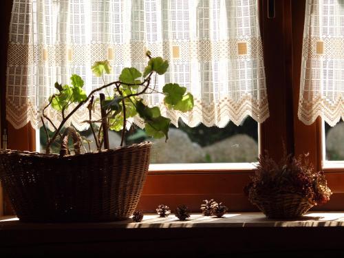 Willa Bystry, Pod Nosalem Willa Bystry, Pod Nosalem