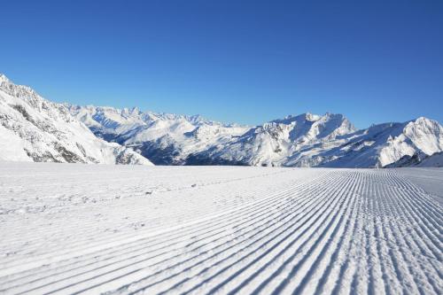 Hirsch, Saas-Fee (foto 7)