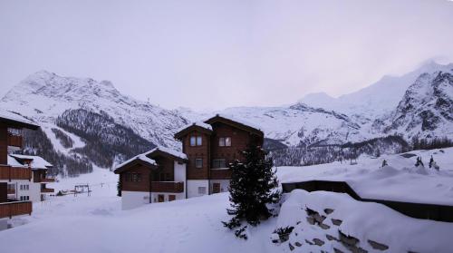 Hirsch in Saas-Fee, Schweiz