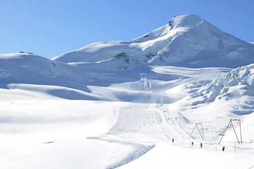 Hirsch, Saas-Fee (foto 8)