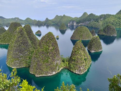 RAJA AMPAT PAKET 4D3N