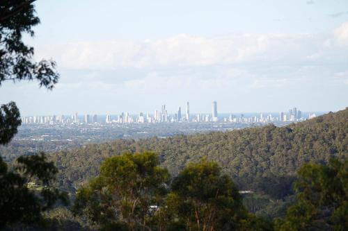 Gold Coast Tree Houses