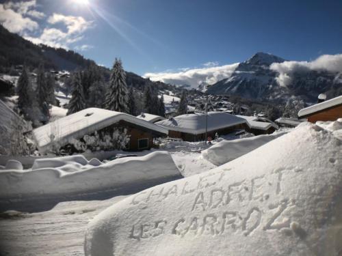 Le Chamois Chalet Adret - Location saisonnière - Arâches-la-Frasse