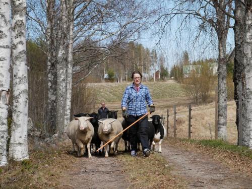 Charmig stuga på bondgård