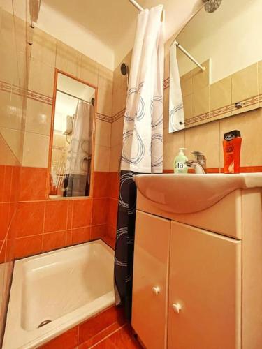 Budget Flat in the Center 3