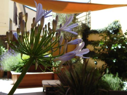 B&B Guerrazzi - image 11
