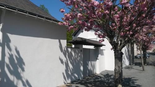 Chambre et salon sur la Loire à vélo - Chambre d'hôtes - Les Ponts-de-Cé