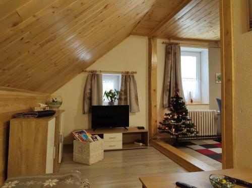 Közös társalgó / TV, U Berňáků (U Bernaku) in Abertamy