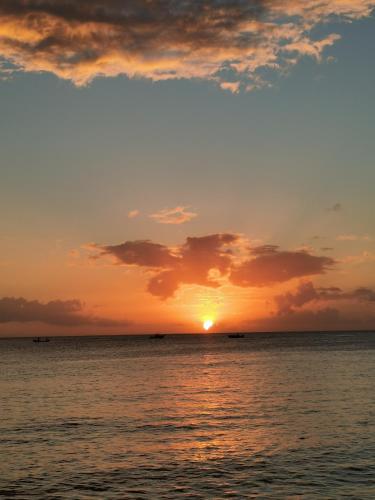 Gites "les colibris" in Schœlcher