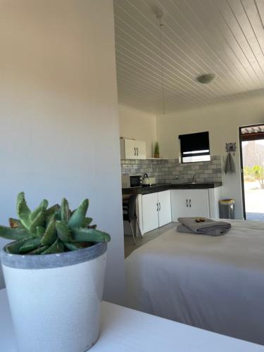 cuina, Villiera Guest Farm in Langebaan