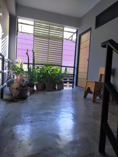 บริการและสิ่งอำนวยความสะดวก, 9 Hostel in เชียงใหม่