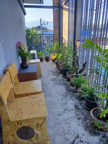 ทัศนียภาพ, 9 Hostel in เชียงใหม่