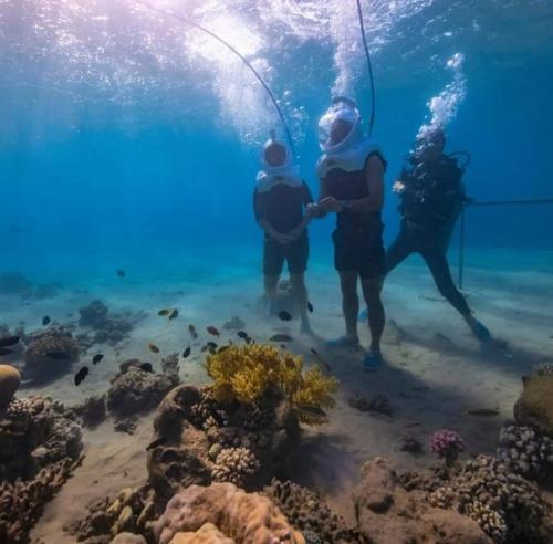 Luxotel Aqaba Beach Resort & Spa Only 15 years plus