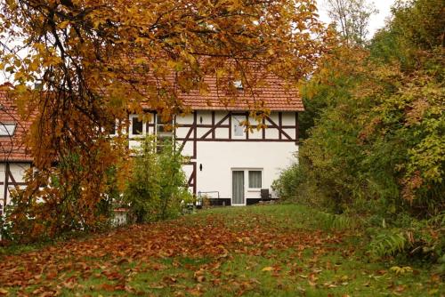 Haus an der Werbe (studio)