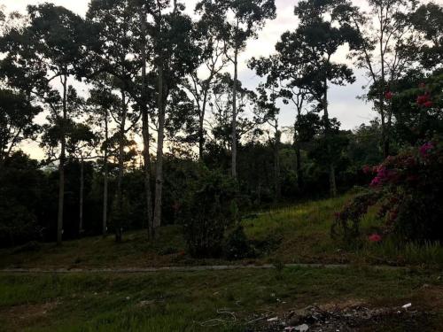 Surrounding environment, Teratak An Nur: A village on top of the hill in Kuala Pilah