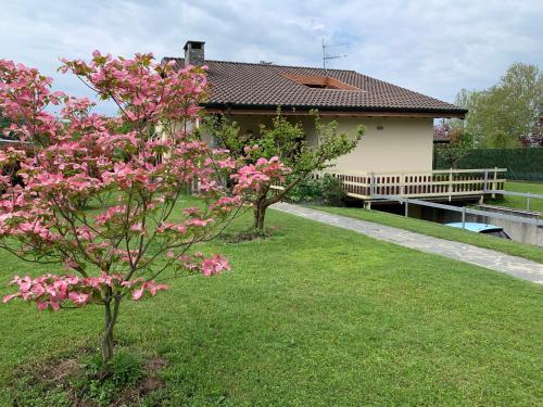 Ieeja, B&B Il Ciliegio in Galliate Lombardo