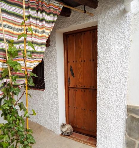 Casa Soportújar las flores