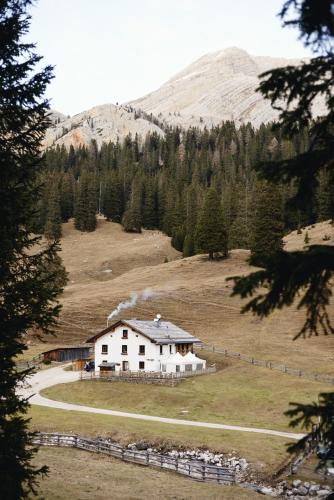 Rifugio Malga Ra Stua - Accommodation - Cortina d`Ampezzo