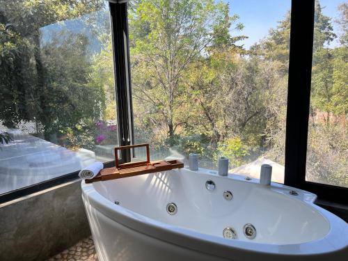 bubbelbad, Mi Refugio San Angel near San Ángel Inn