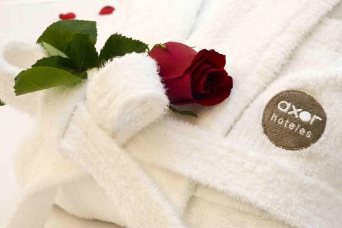 Axor Feria - image 8