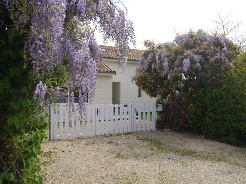 Studio de Fontaine