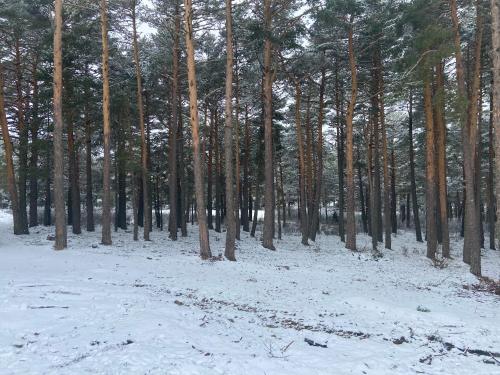A környék, Casa La Fontana Bronchales in Bronchales