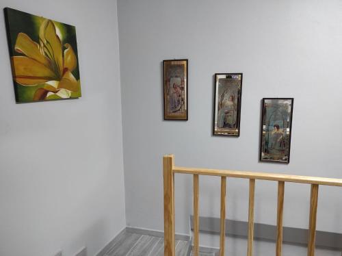 บริการและสิ่งอำนวยความสะดวก, Casa da Guida in ริเบริงยา