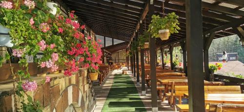 Izvorul Rece Sinaia - image 11